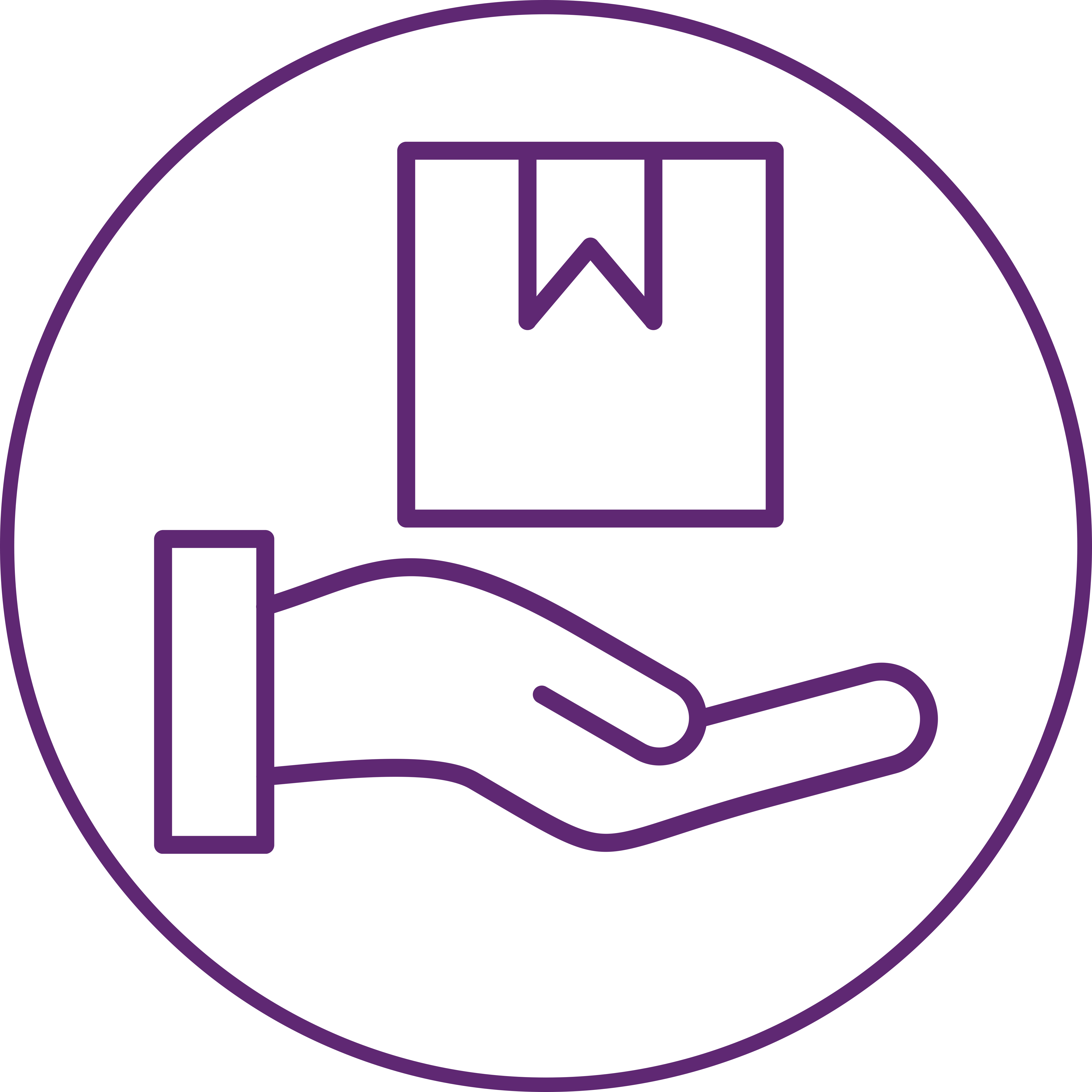 warranty